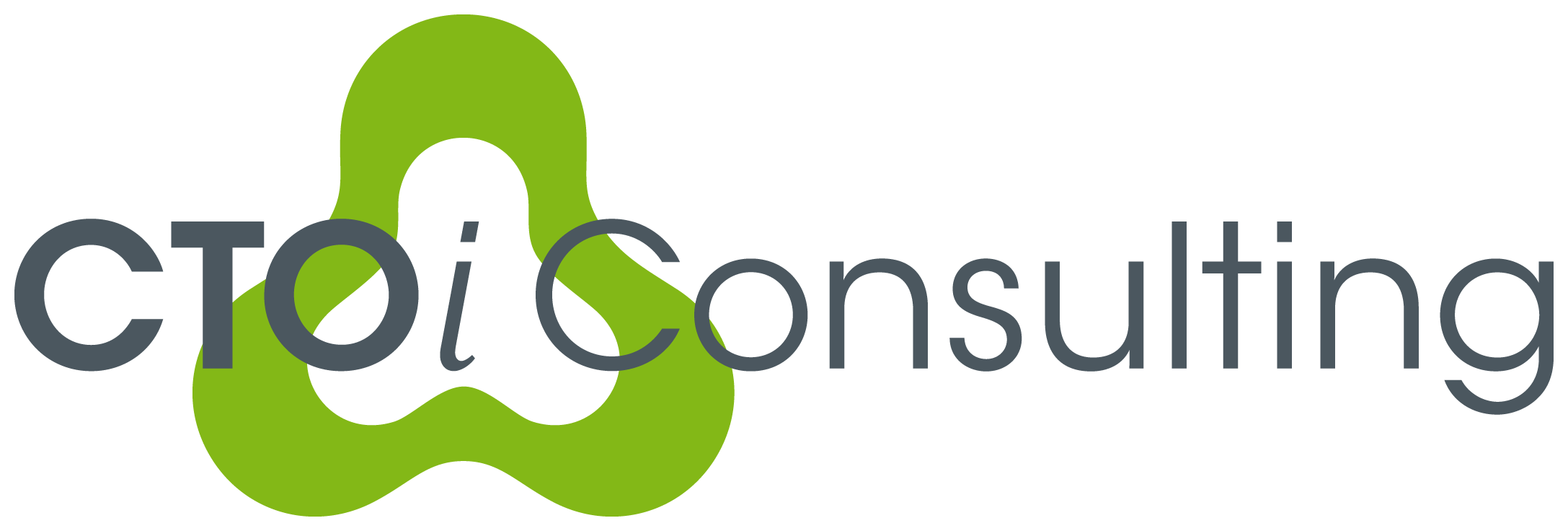 CTO Innovation Consulting